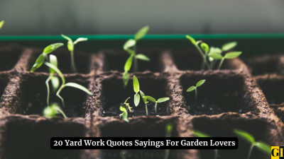 20 Yard Work Quotes Sayings For Garden Lovers