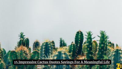 15 Impressive Cactus Quotes Sayings For A Meaningful Life