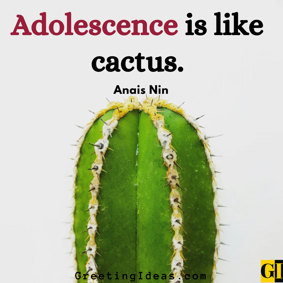 15 Impressive Cactus Quotes Sayings For A Meaningful Life