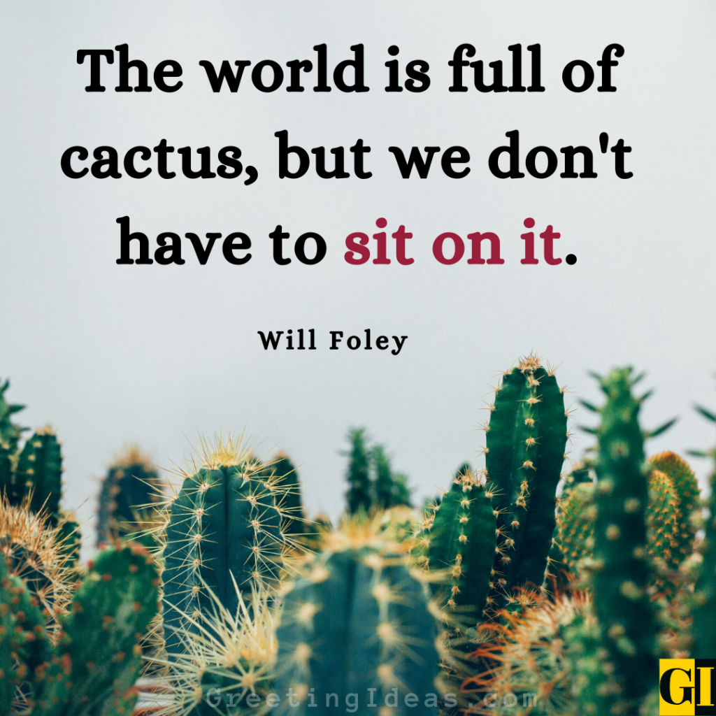 Cactus Quotes Images Greeting Ideas 2