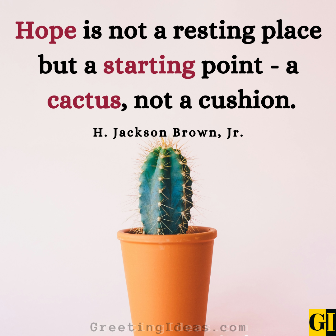 15 Impressive Cactus Quotes Sayings For A Meaningful Life