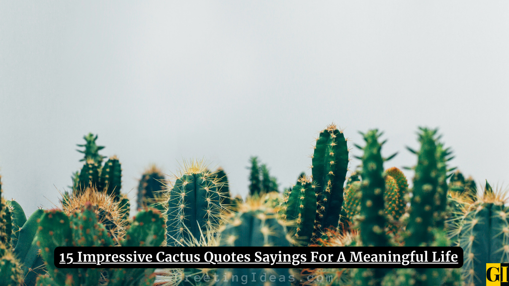 Cactus Quotes Images