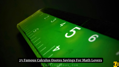 25 Famous Calculus Quotes Sayings For Math Lovers