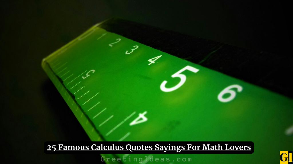 Calculus Quotes Images