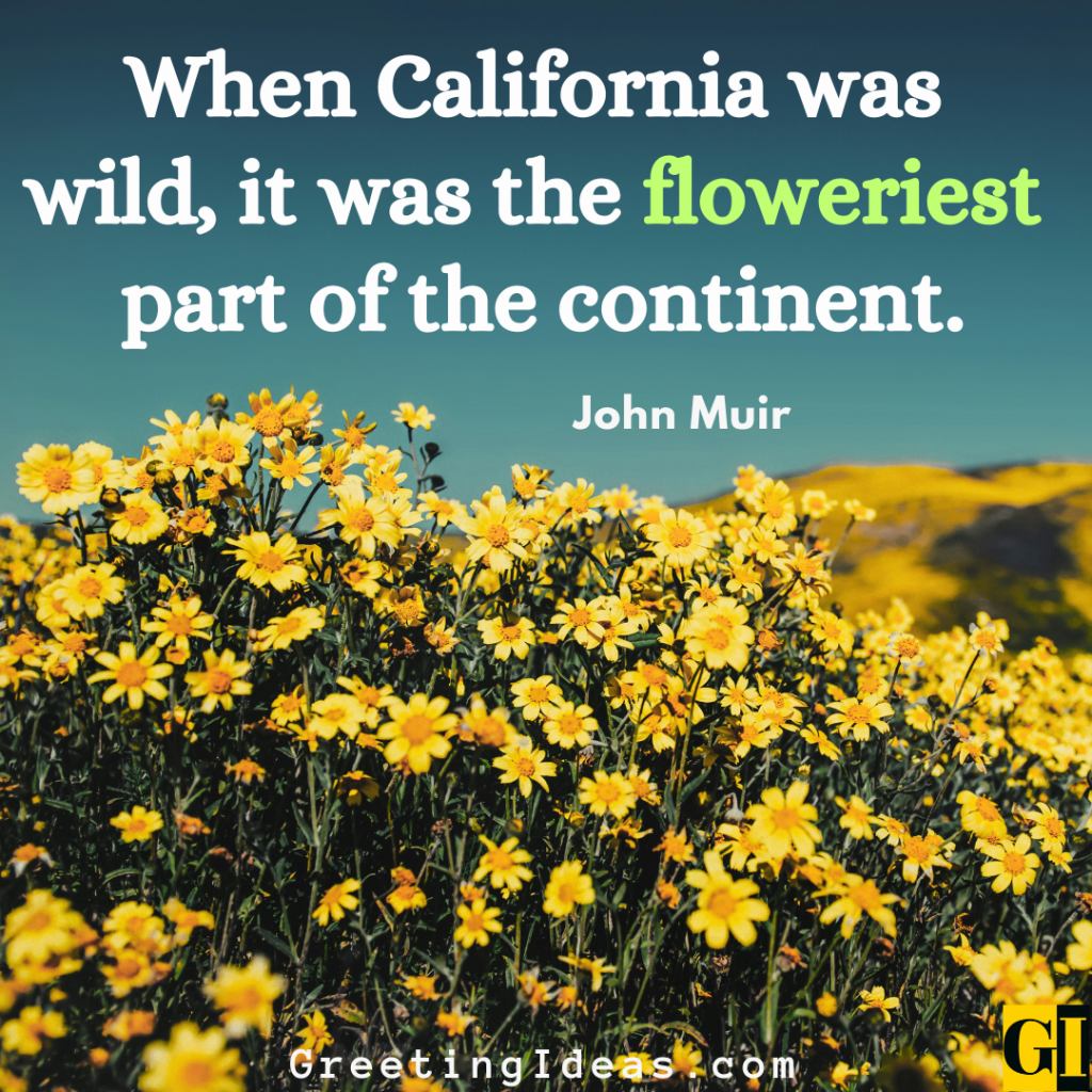 California Quotes Images Greeting Ideas 4