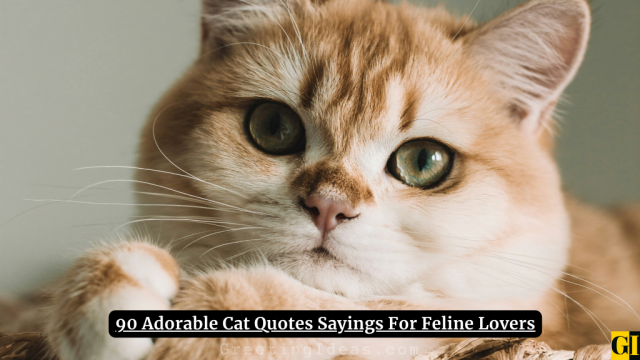 90 Adorable Cat Quotes Sayings For Feline Lovers