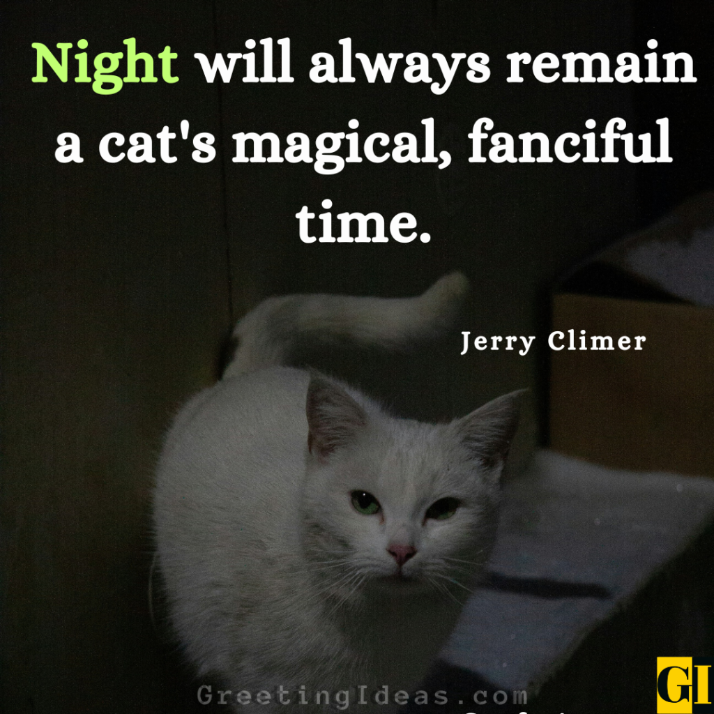 Cat Quotes Images Greeting Ideas 9