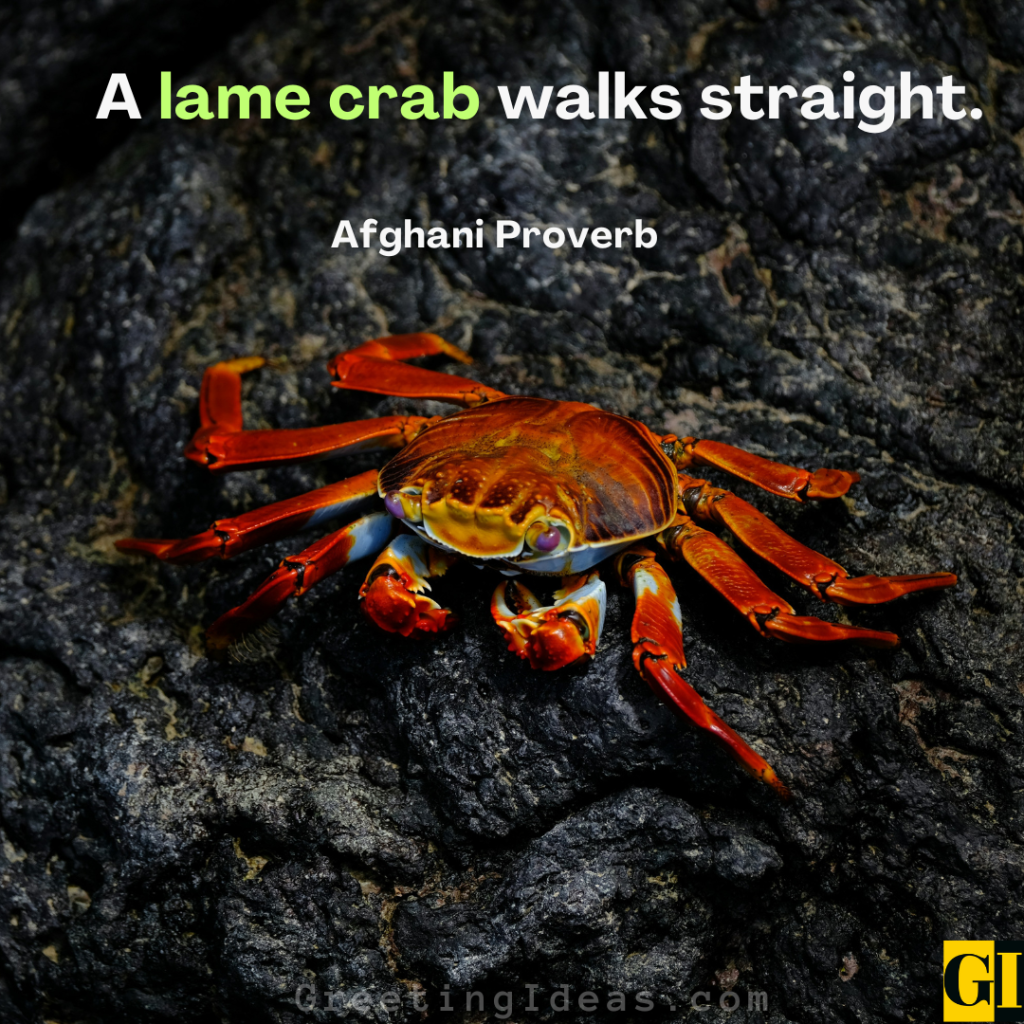 Crab Quotes Images Greeting Ideas 1