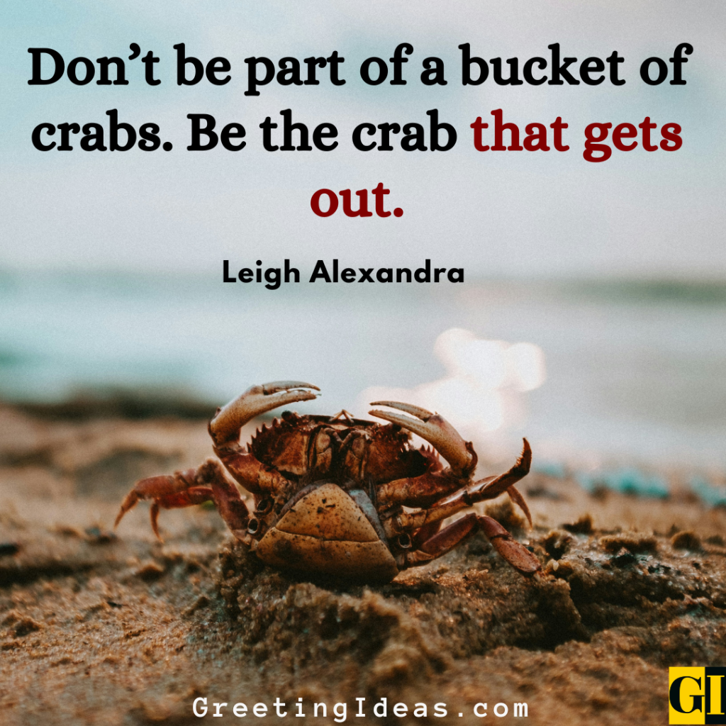 Crab Quotes Images Greeting Ideas 2