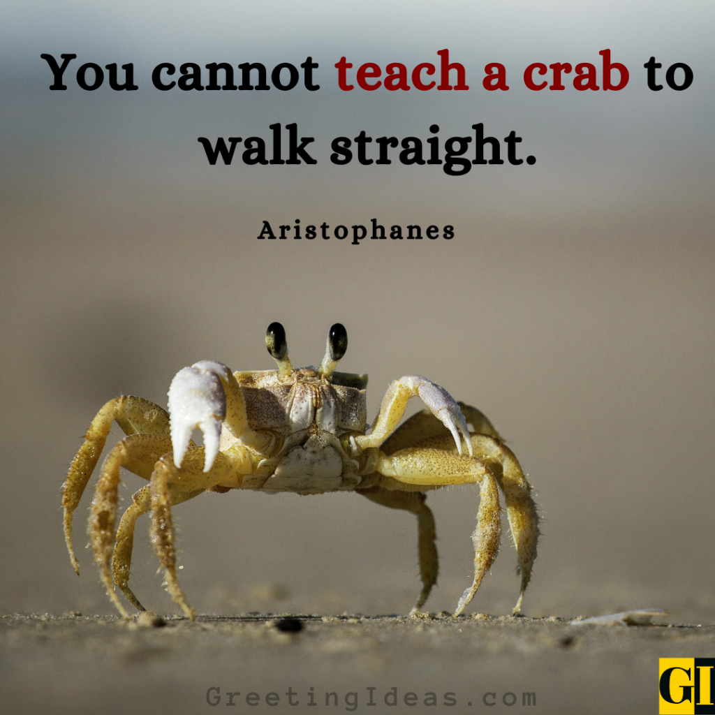 Crab Quotes Images Greeting Ideas 3