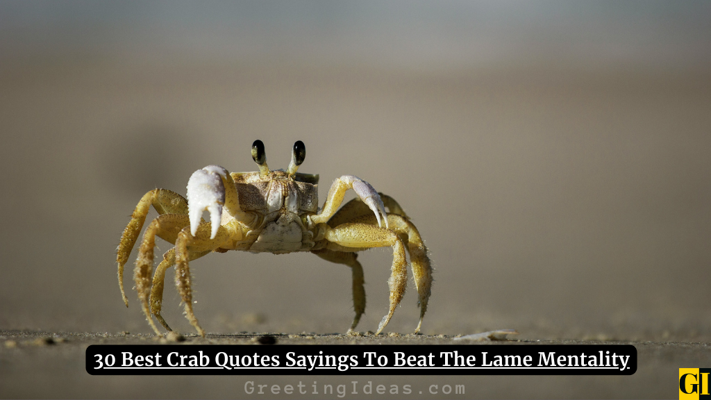 Crab Quotes Images