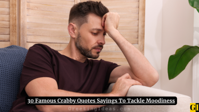 30 Famous Crabby Quotes Sayings To Tackle Moodiness