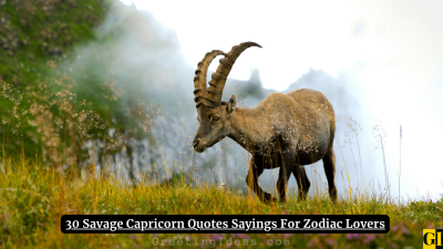 30 Savage Capricorn Quotes Sayings For Zodiac Lovers