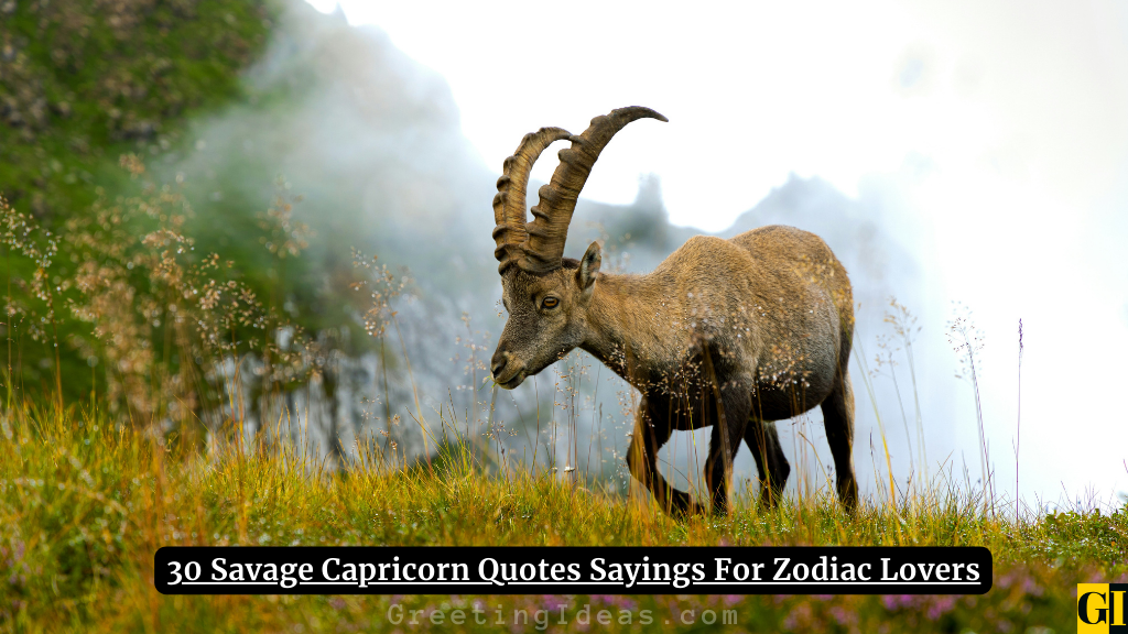 Capricorn Quotes Images