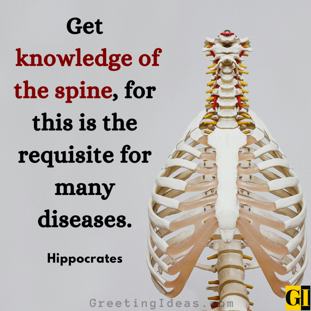 Chiropractic Quotes Images Greeting Ideas 2