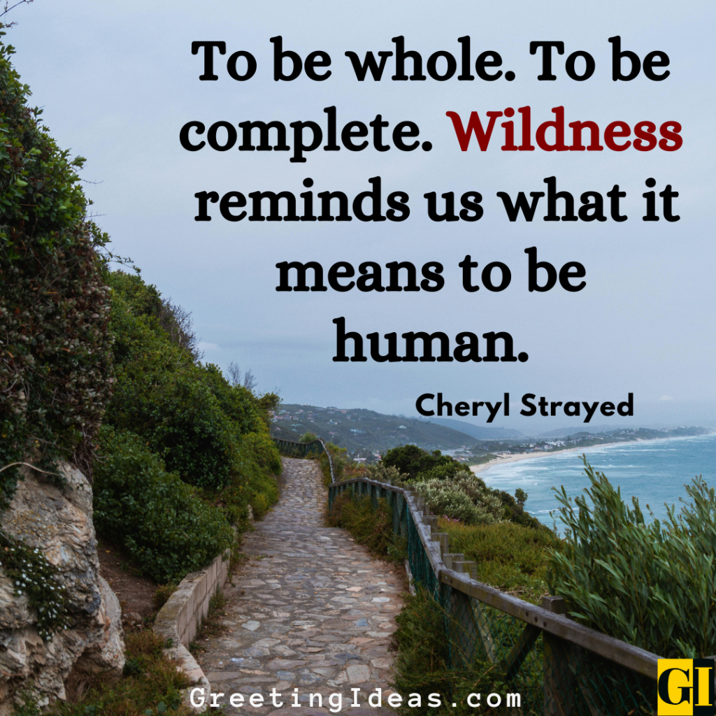 Camping Quotes Images Greeting Ideas 4