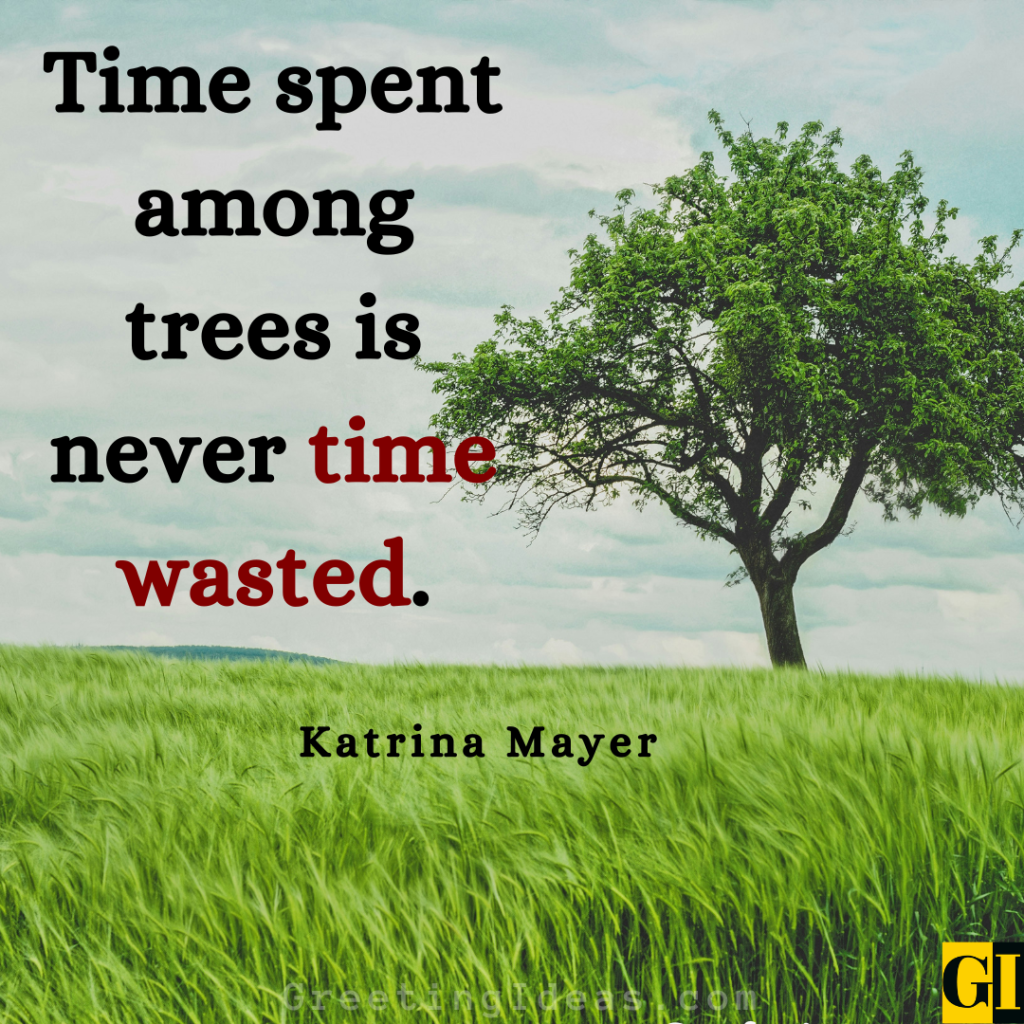 Camping Quotes Images Greeting Ideas 6