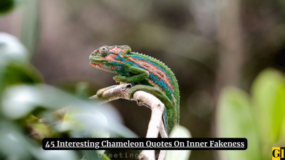 45 Interesting Chameleon Quotes On Inner Fakeness
