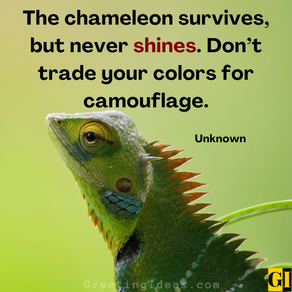 Chameleon Quotes Images Greeting Ideas 2