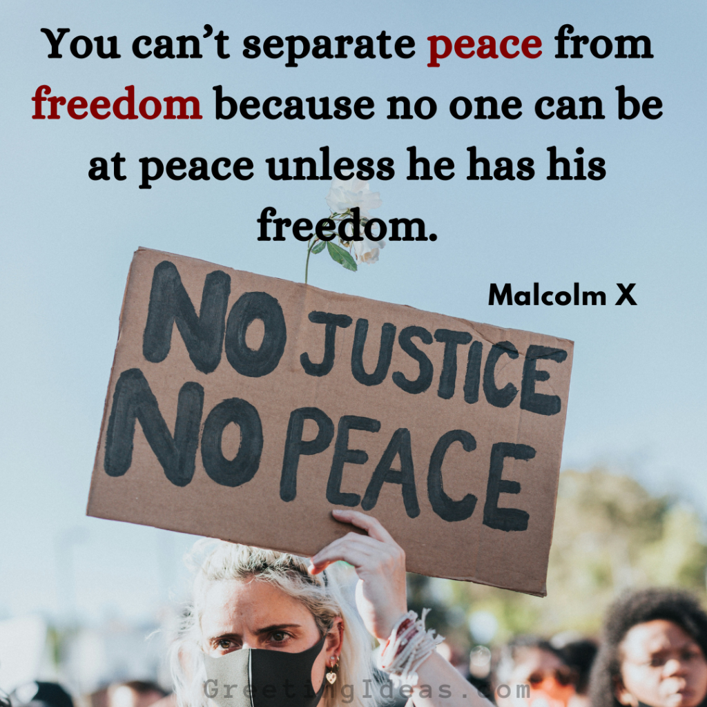 Civil Rights Quotes Images Greeting Ideas 2