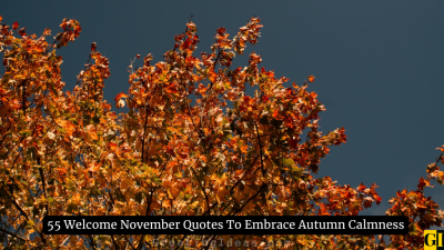 55 Welcome November Quotes To Embrace Autumn Calmness