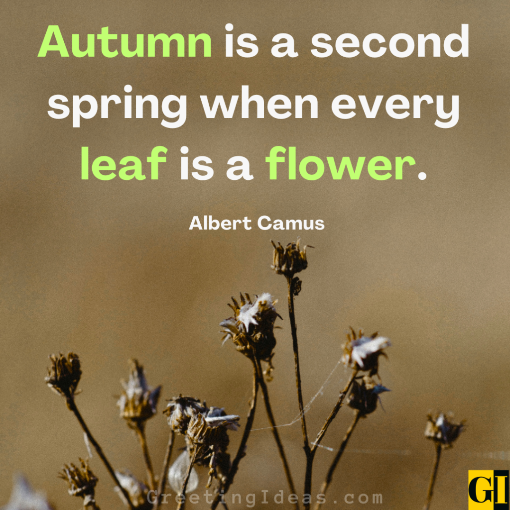 November Quotes Images Greeting Ideas 4