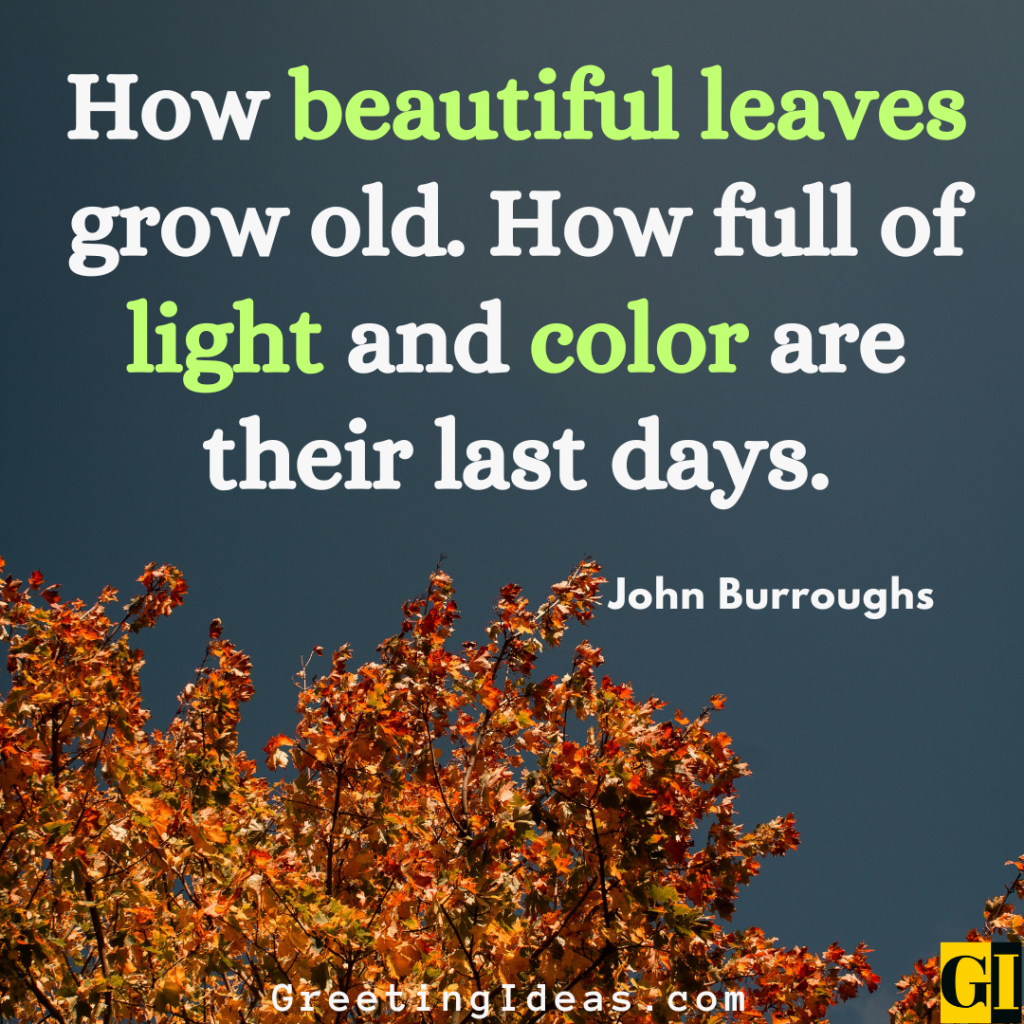 November Quotes Images Greeting Ideas 5