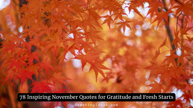 78 Inspiring November Quotes for Gratitude and Fresh Starts