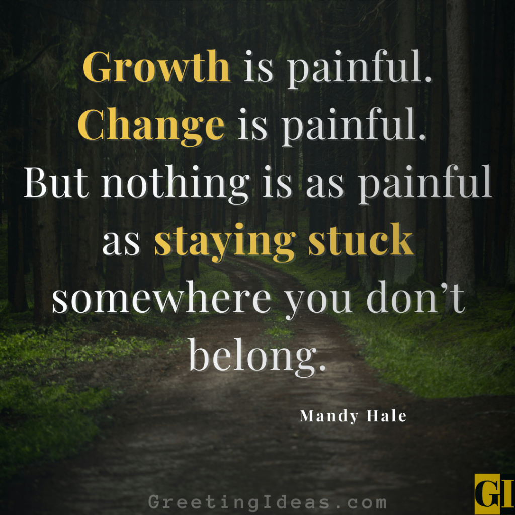 Inspiring quote by Mandy Hale on how discomfort leads to the greatest personal growth and life lessons.