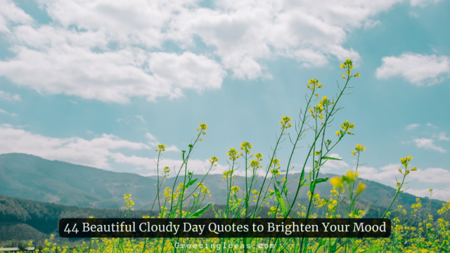 44 Beautiful Cloudy Day Quotes to Brighten Your Mood