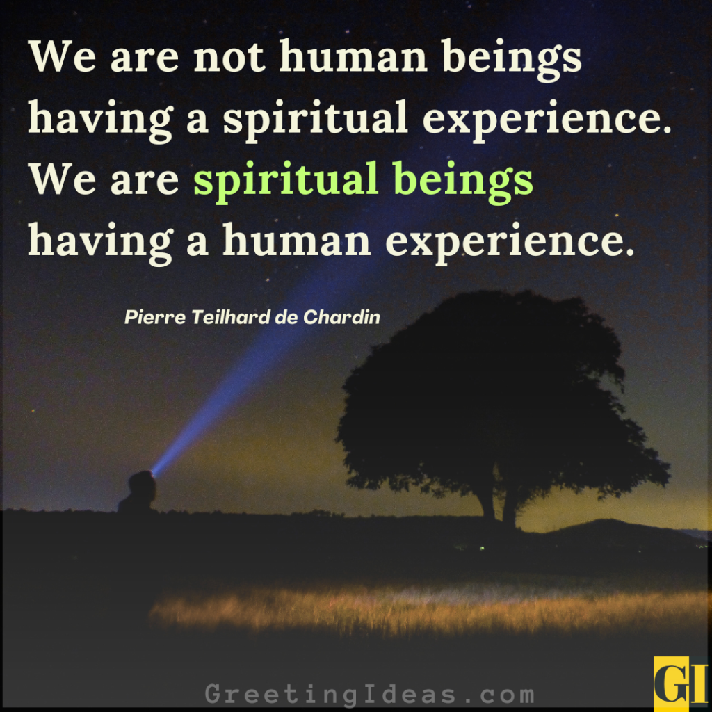 Starry night sky with lone tree silhouette and Pierre Teilhard de Chardin quote about spiritual beings having human experience