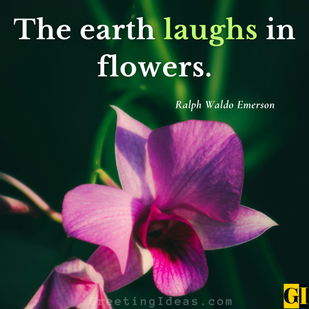 Emerson — Floral Wisdom Quote Ralph Waldo Emerson famous flower quote: The earth laughs in flowers — set beside a vivid pink orchid bloom.