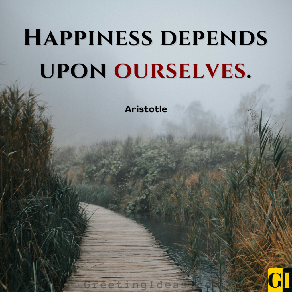  Aristotle quote on happiness over a misty marshland path — concise life lesson about inner ownership of joy and wellbeing 