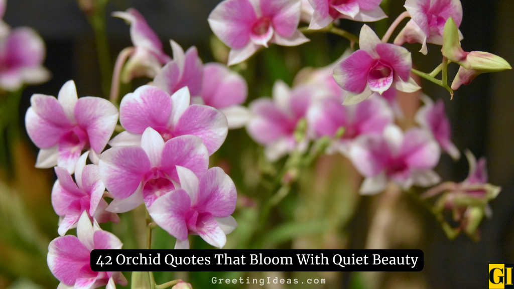 A bunch of pink orchid quotes image showing beauty and quiet strength — GreetingIdeas.com