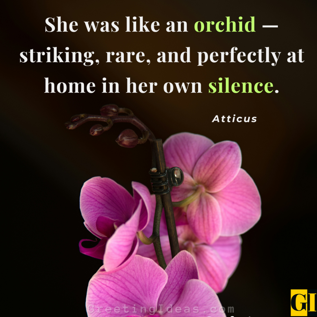 Atticus — Rare Elegance Orchid Quote Atticus quote on rare elegance: She was like an orchid — striking, rare, and at home in her own silence.
